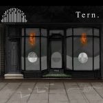 Front exterior design concept or storefront sketch with black framing, large display windows, a central doorway, abstract graphics in the windows, and the text “Tern.” in the upper right corner.