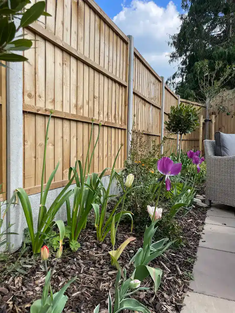 GardenPlants2 by UK Base Construction